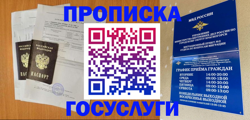 прописка в Мытищах